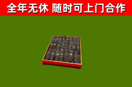 衢州市回收海参